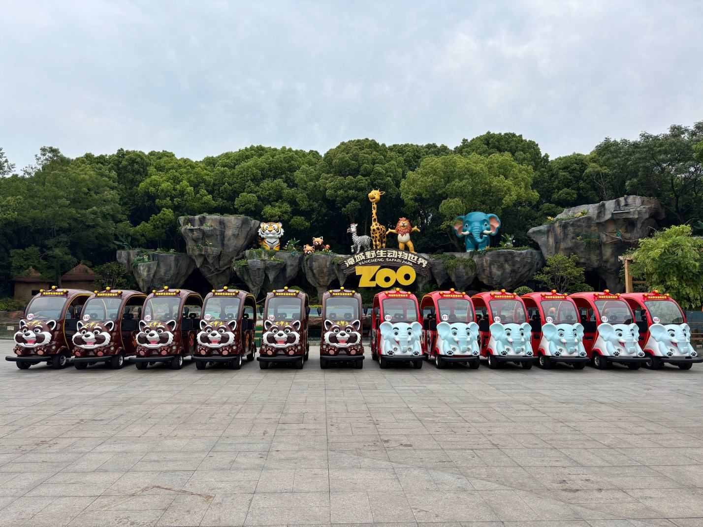 合作新闻